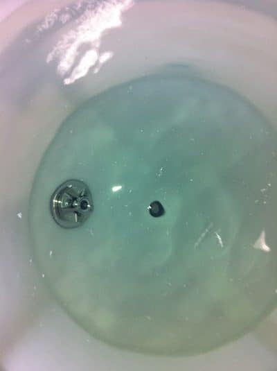 Waring Blender for Biopharma Mixing